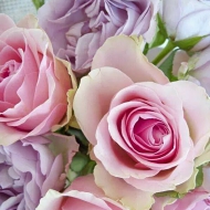 2014-08-31-01-50-16_deco.jpg