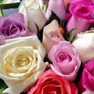 2014-08-31-01-46-25_deco.jpg