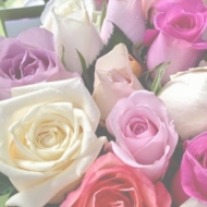 2014-08-31-01-46-25_deco.jpg