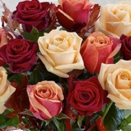 2014-08-31-01-52-26_deco.jpg