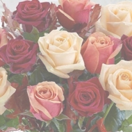 2014-08-31-01-52-26_deco.jpg