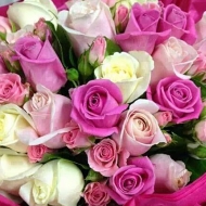 2014-08-31-02-00-44_deco.jpg