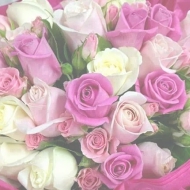 2014-08-31-02-00-44_deco.jpg
