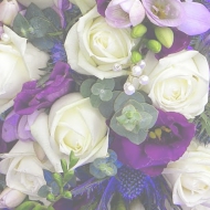 2014-08-31-02-03-11_deco.jpg