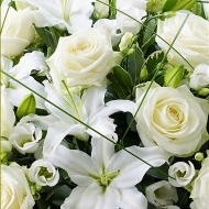 2014-09-01-14-12-32_deco.jpg