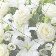 2014-09-01-14-12-32_deco.jpg