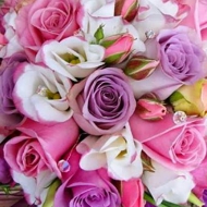 2014-09-01-14-02-17_deco.jpg