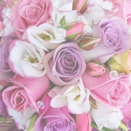 2014-09-01-14-02-17_deco.jpg