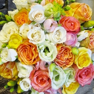 2014-08-31-11-42-29_deco.jpg